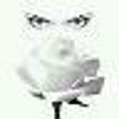 Profile Picture of Tamara Tanner (@l00PY_L00) on Twitter