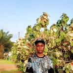 Profile Picture of James Parker (@James-Parker) on Facebook