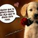 Profile Picture of Fernando Almaraz M (@88almafer) on Pinterest