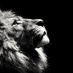 Profile Picture of Kevin Walters (@kevin_cajun_walters) on Flickr