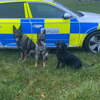 Profile Picture of PD Duke & PD Lilly (@amydeemo) on Twitter