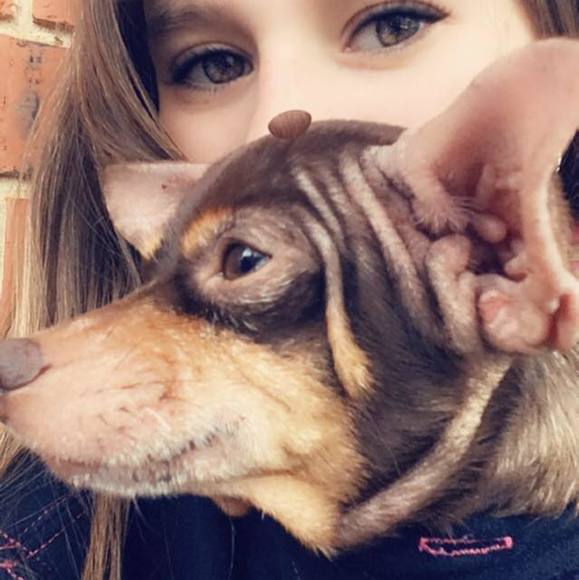 Profile Picture of Summer Daniels (@summerdaniel210) on Poshmark