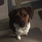 Colton Timgerald - Instagram Profile Picture of Colton Timgerald (@coltontimgerald308) on Instagram