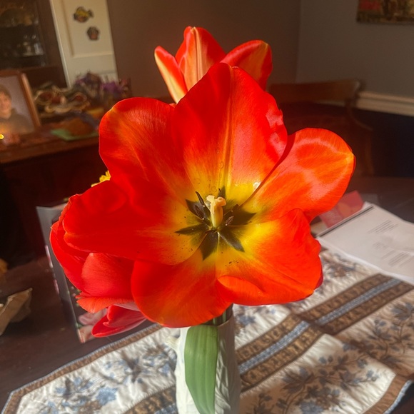 Profile Picture of Laurie Riccadonna (@laurier88) on Poshmark