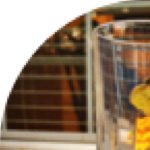 Profile Picture of Alex Paprocki (@alexpaprocki80) on Instagram