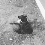 Profile Picture of Garrett Cornuelle (@garrett_cornuelle) on Instagram