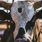 Profile Picture of Randy Hugle (@Randy-Hugle) on Facebook