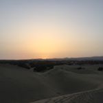 Profile Picture of Rita Mathews (@cookiefienchen) on Instagram