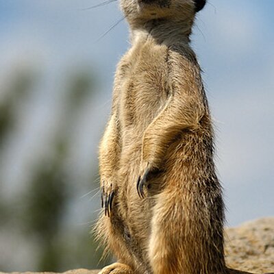 Profile Picture of Stewart Swain (@StewartSwain2) on Twitter