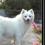 Profile Picture of Gautam Bhattacharya (@gmbhatta64) on Flickr