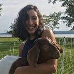 Profile Picture of Deanna (@deannapai) on Instagram