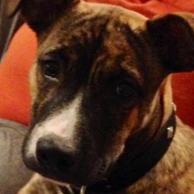 Profile Picture of Alissa Heath Doyle (@DoyleAlissa) on Twitter