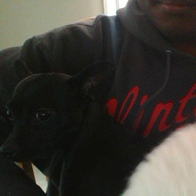 Josh Mallette - Twitter Profile Picture of Josh Mallette (@JoshFromGeico) on Twitter