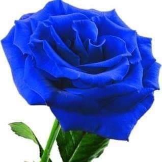 Edwin Joseph - Facebook Profile Picture of Edwin Joseph (@Edwin-Joseph) on Facebook