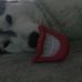 Profile Picture of Jacob Regnier (@jacob.regnier.16) on Facebook