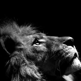 Profile Picture of Robert Everman (@Robert-Everman) on Facebook