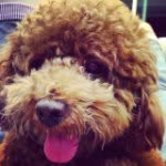 Profile Picture of BensonTerry (@bensonterry) on Instagram