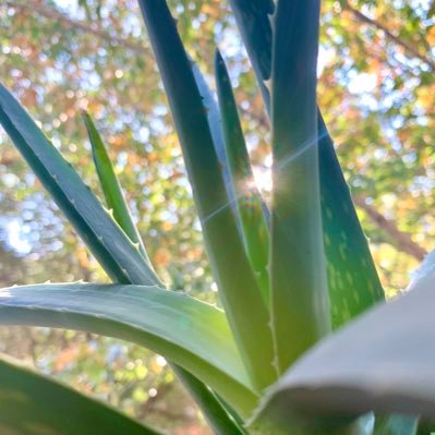 Profile Picture of Madison Meredith (@MadisonMeredi13) on Twitter