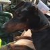 Profile Picture of Dawn Coutts (@dawn.coutts.395) on Facebook