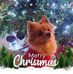 Profile Picture of Eileen Phillips (@eileen.phillips.14811) on Facebook