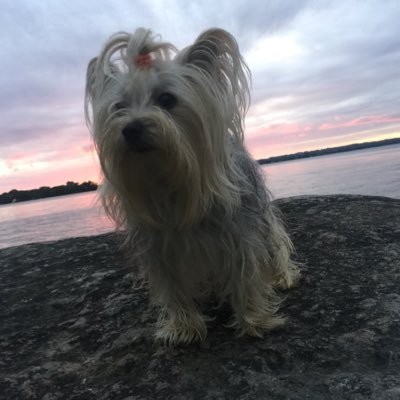 Profile Picture of Glenn Oldfield (@GlennOldfield3) on Twitter