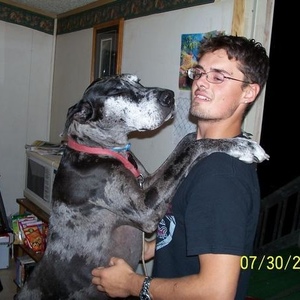 Profile Picture of Dustin Hardwick (@dustpanalley) on Myspace