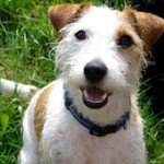 Profile Picture of Michael Bienert (@snoopy_aus_wedel_) on Instagram