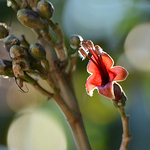 Profile Picture of Edith Gonzalez Afanador (@egonzalezaf) on Flickr