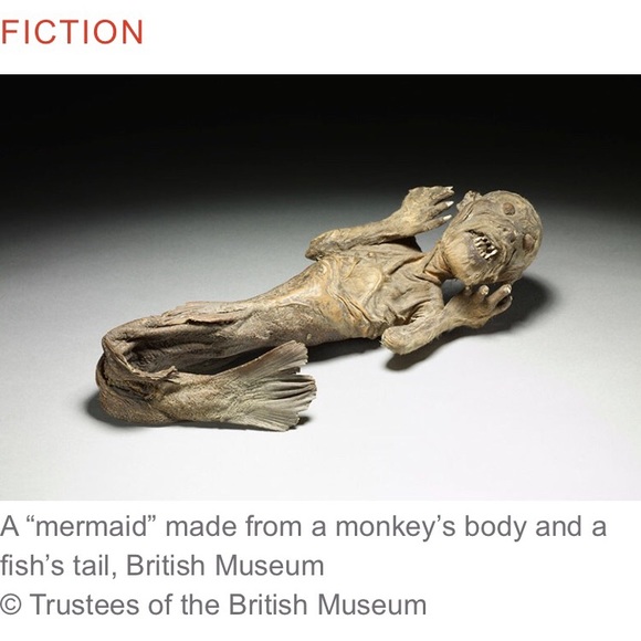 Chris Smedley - Poshmark Profile Picture of Chris Smedley (@chrissmedley) on Poshmark