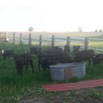 Profile Picture of Shawnruden (@shawnruden) on Instagram