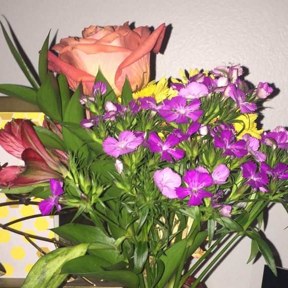 Neri R - Poshmark Profile Picture of Neri R (@neri_r) on Poshmark