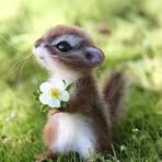 Profile Picture of Jaime Condori Diaz (@jaime.condoridiaz.94) on Facebook