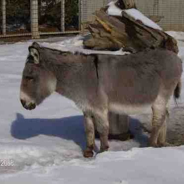 Profile Picture of Dan Steed (@Flan__Man) on Twitter