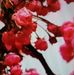 Profile Picture of Jia Deng (@jia.deng.1466) on Facebook