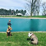 Profile Picture of Jeremy Buuck (@kingbuuck) on Instagram