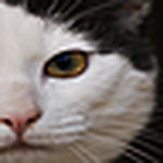 Profile Picture of Peter Atkinson (@peter danger atkinson) on Flickr