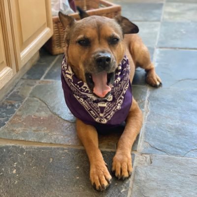 Profile Picture of Aaron Garrett (@@AaronGPB) on Twitter