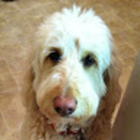 Christine Hibma - Poshmark Profile Picture of Christine Hibma (@chibma) on Poshmark