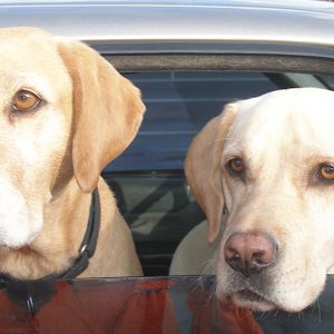 Profile Picture of stephenbalint912 (@stephenbalint912) on Tiktok