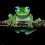 Profile Picture of Daniel Bokelman (@danielbokelman) on Instagram