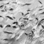 Profile Picture of Bob Tien (@bobtein2018) on Instagram