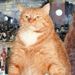 Profile Picture of HugoHomero HidalgoSilva (@hugohomeroh) on Pinterest