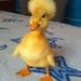 Profile Picture of Hayden Clare (@hclare201) on Pinterest