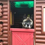Profile Picture of Joel Foster (@joelfoster766) on Instagram