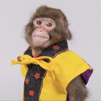 Profile Picture of Daniel (@DanielQuinnToye) on Twitter