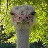Profile Picture of Brian Power (@bpow1021) on Tiktok