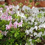 Erik Stenquist - Instagram Profile Picture of Erik Stenquist (@estenquist) on Instagram