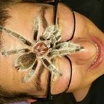 Profile Picture of Matt Stetson (@chewybumble) on Instagram