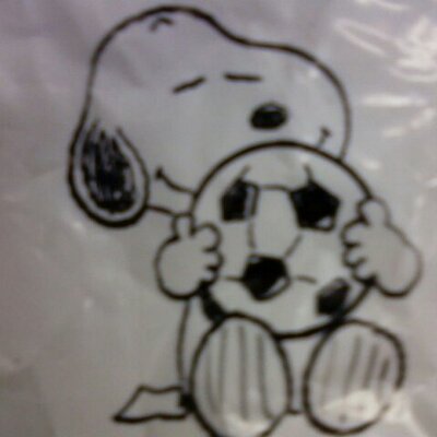 Profile Picture of Adam Lieber (@LieberAdam) on Twitter
