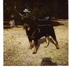 Profile Picture of Frederick c Foster (@frederickcfoster) on Instagram